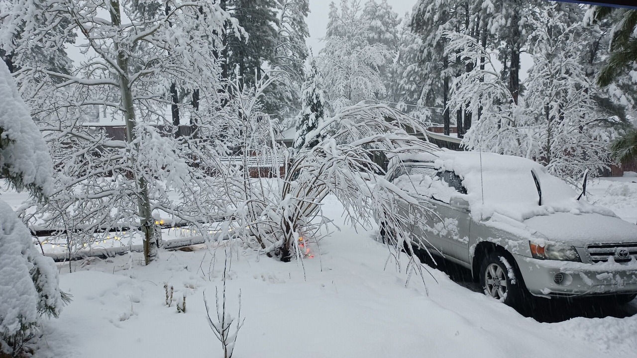 Photo of Outdoor in Mountainaire