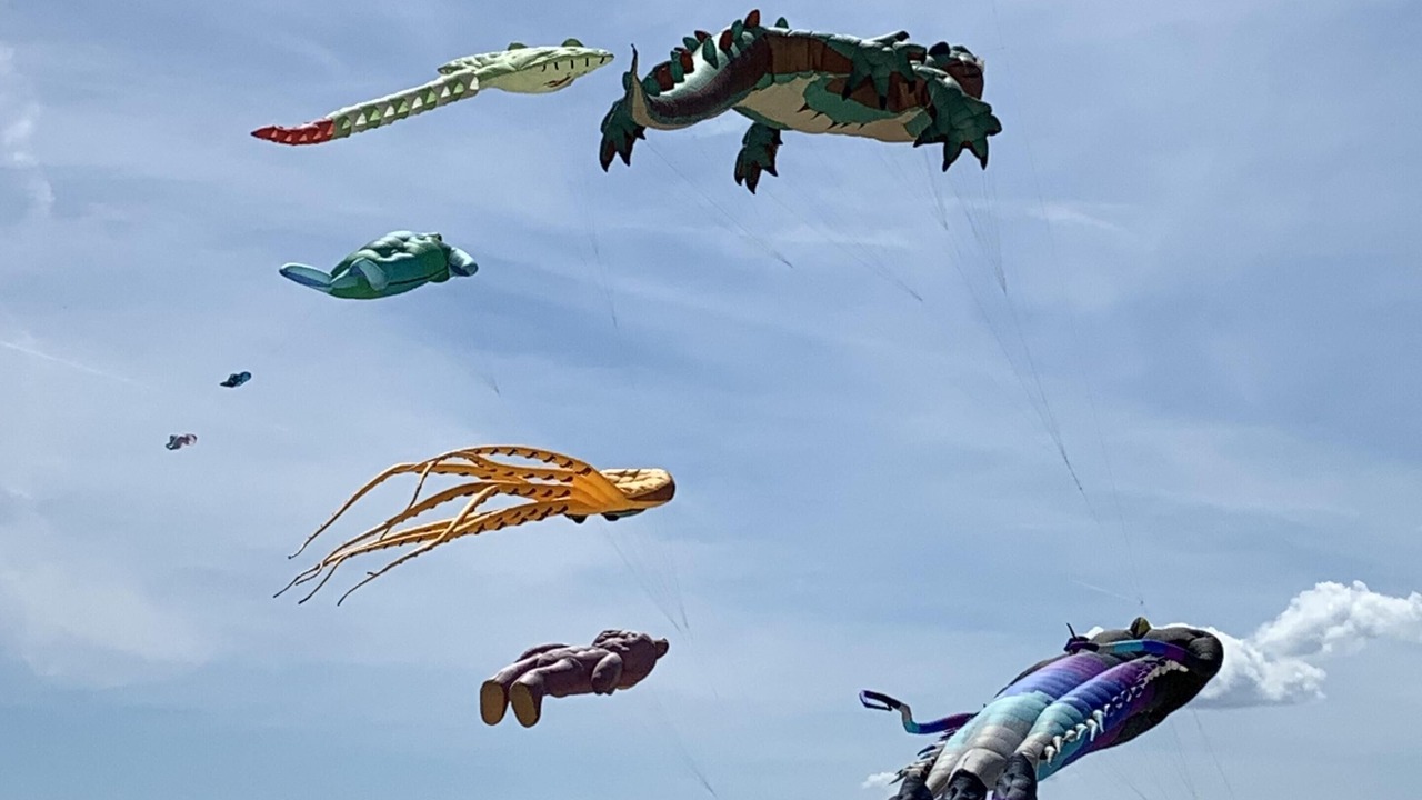Photo of Others in Pornichet