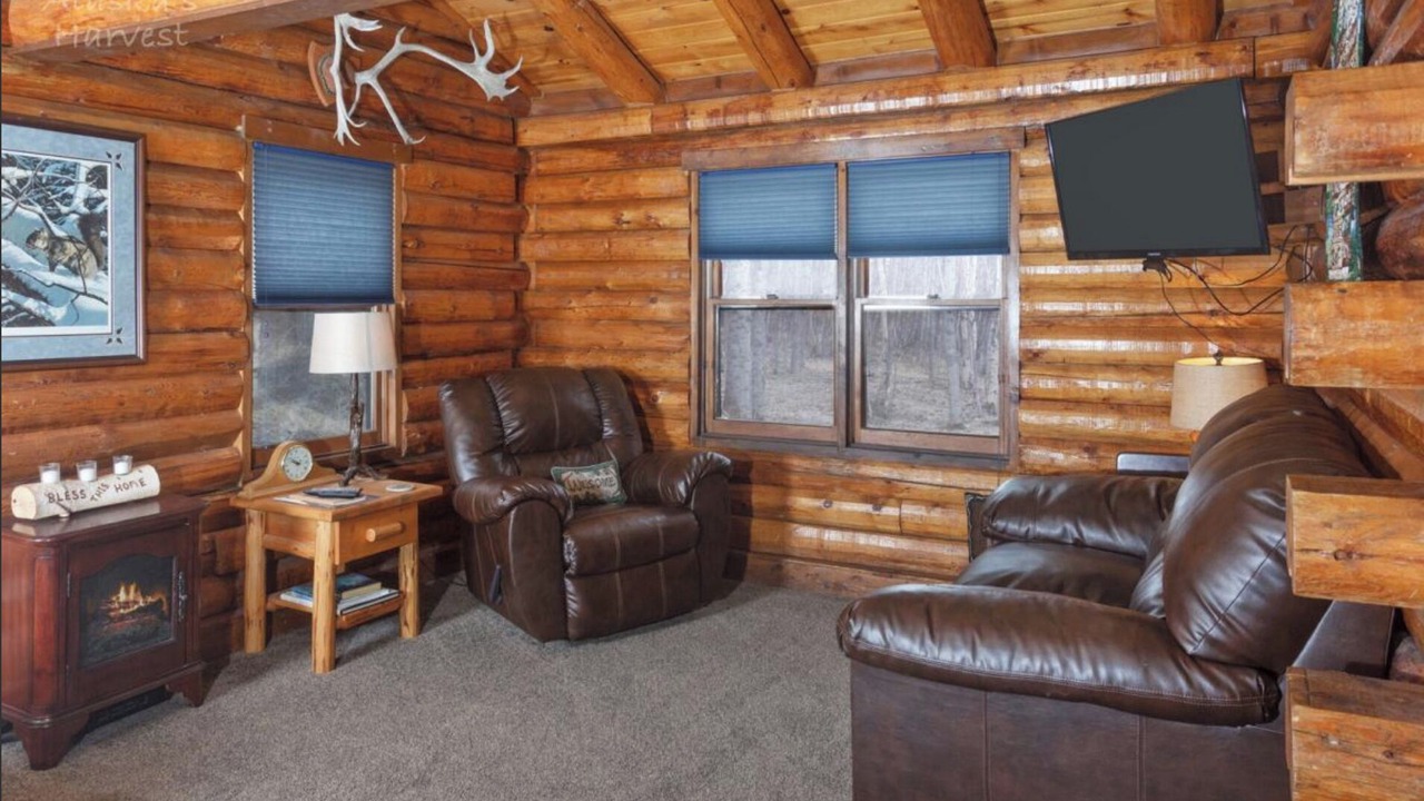 Photo of Livingroom in Palmer