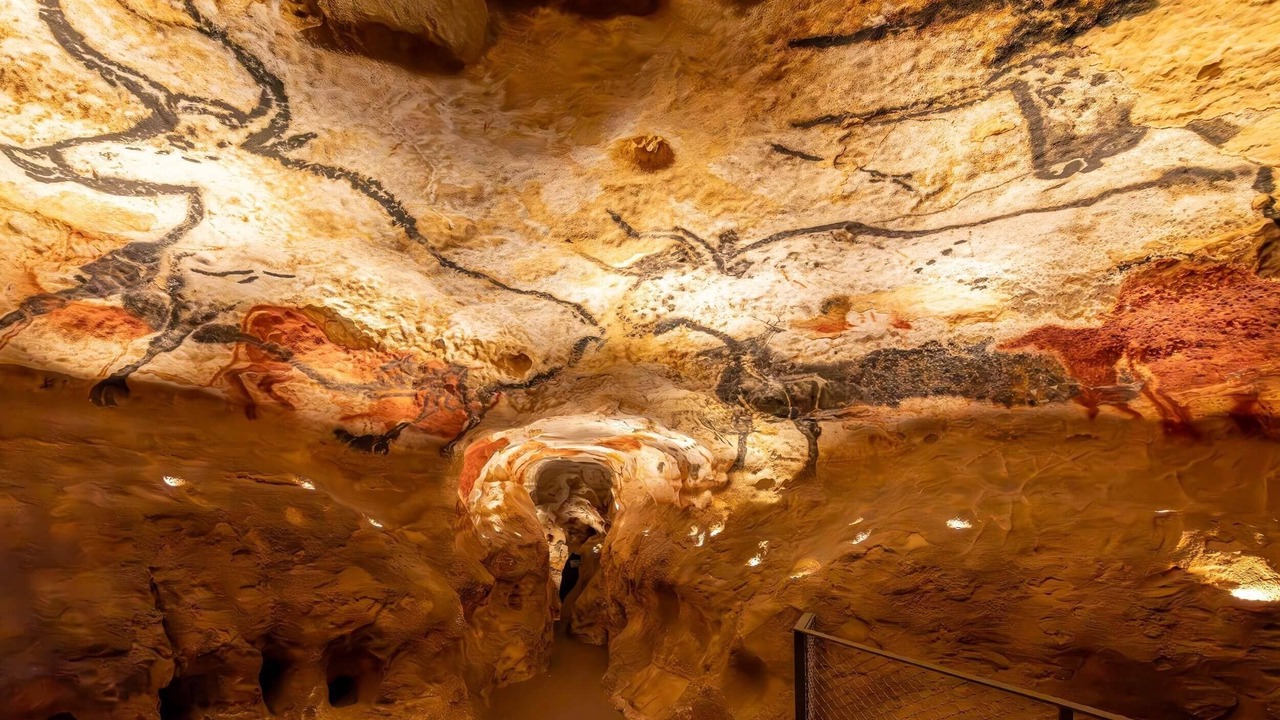 Photo of Others in La Bachellerie