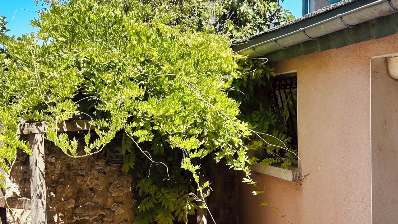 Photo of Outdoor in La Bachellerie