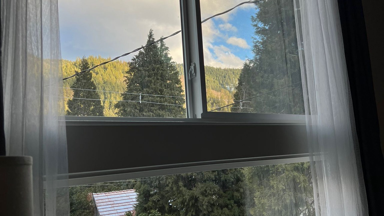 Photo of Others in Dunsmuir