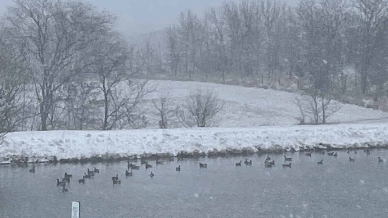Photo of Outdoor in Weldon