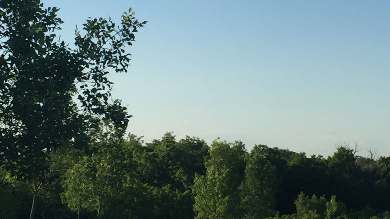 Photo of Others in Weldon