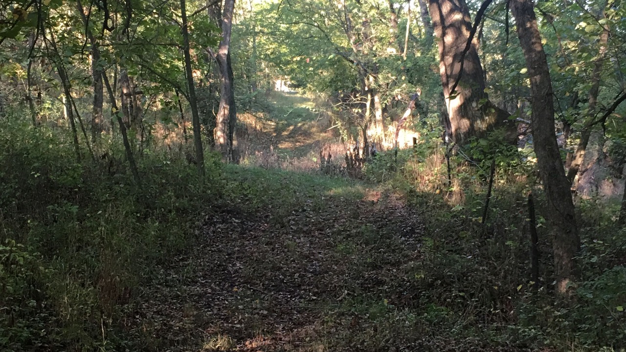 Photo of Outdoor in Weldon