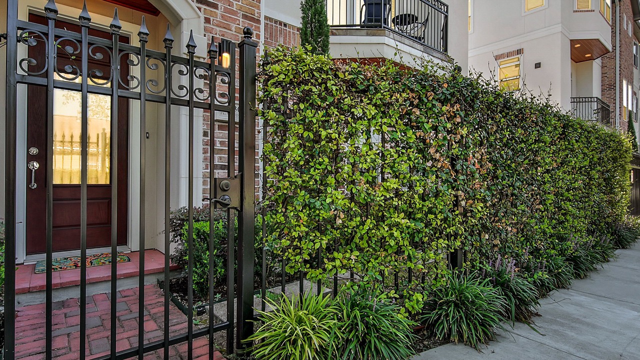 Photo of Outdoor in Greater Heights