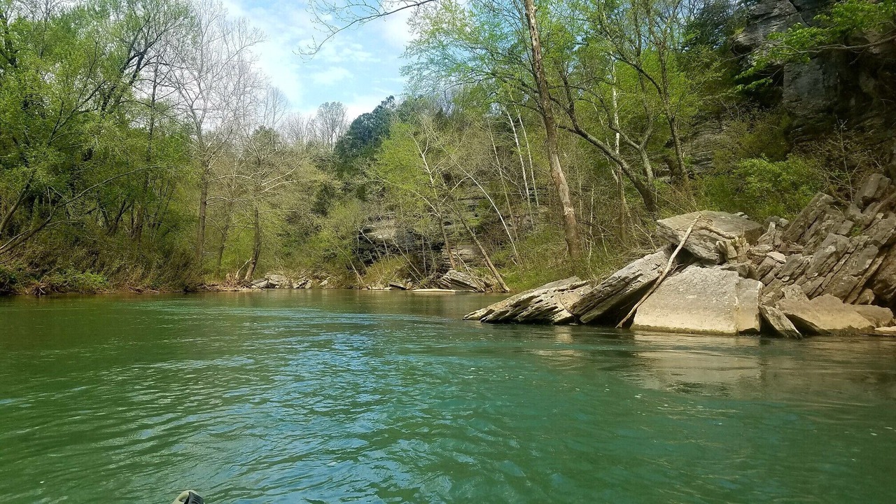 Photo of Others in Huntsville