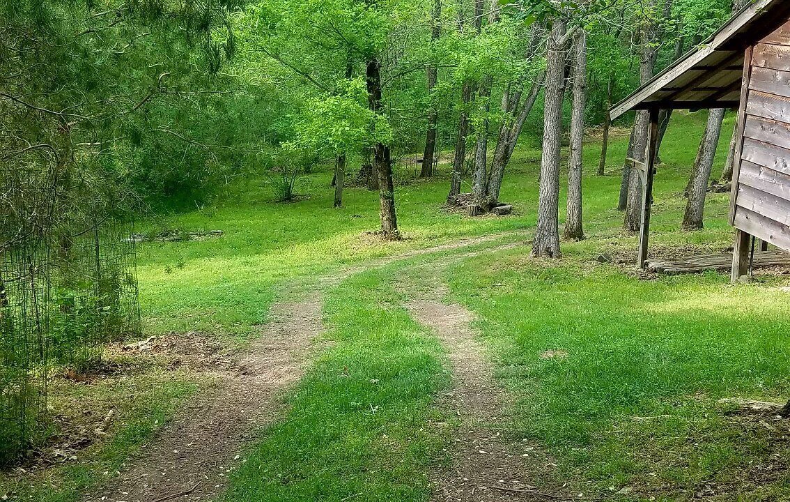 Photo of Outdoor in Huntsville