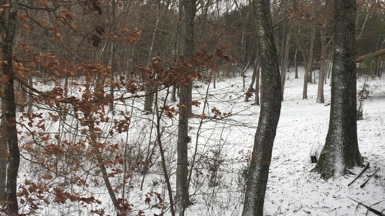 Photo of Outdoor in Huntsville
