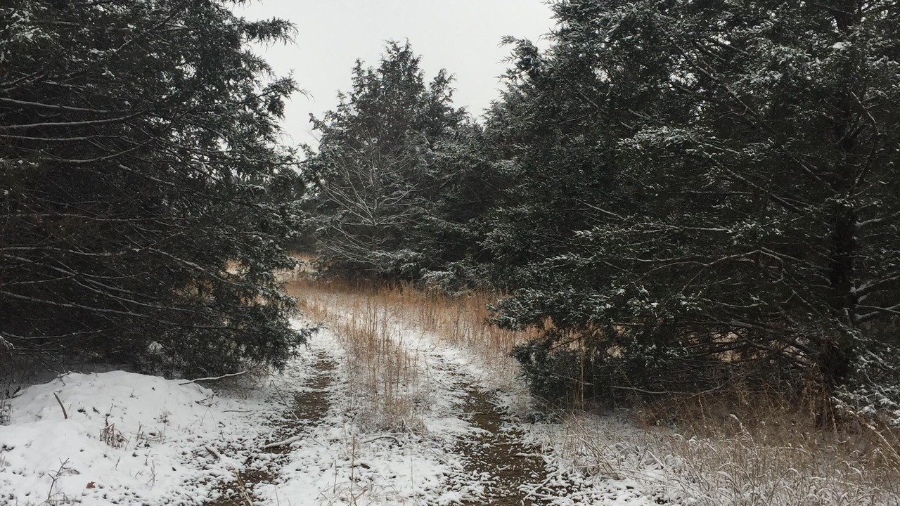 Photo of Outdoor in Huntsville