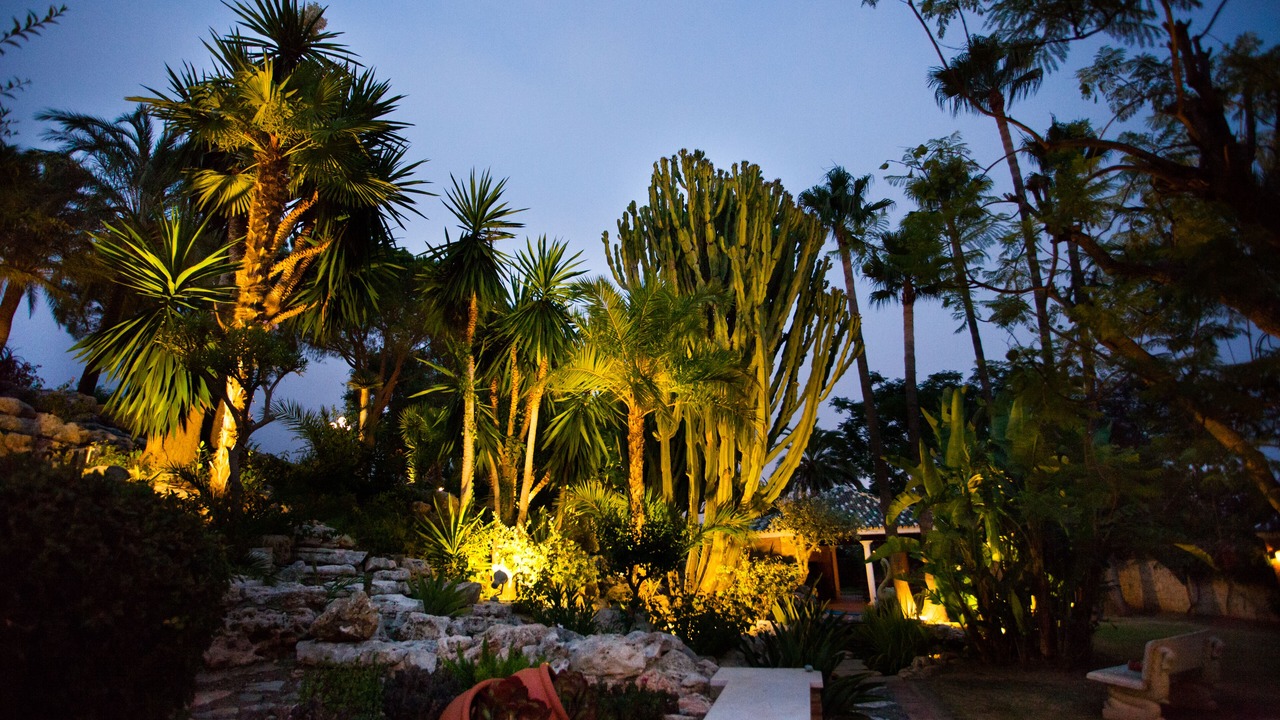 Photo of Outdoor in Rancho Domingo