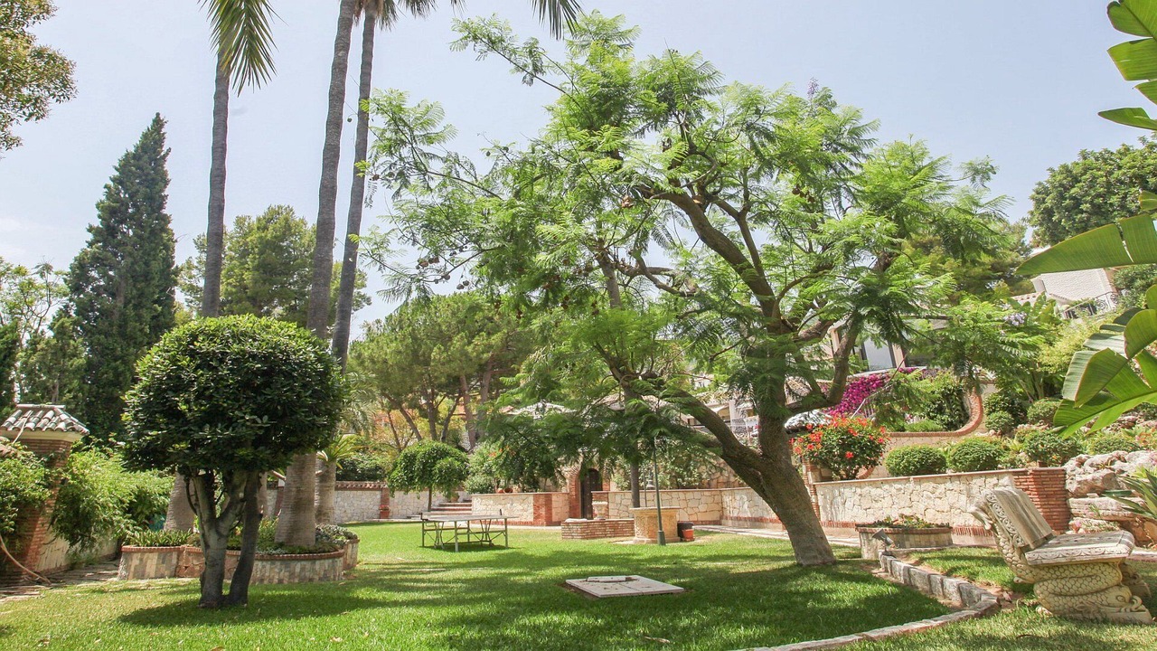 Photo of Outdoor in Rancho Domingo