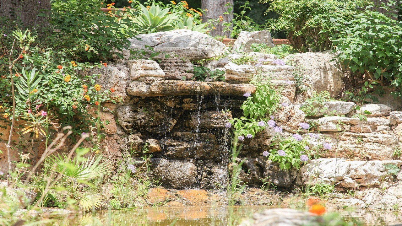 Photo of Outdoor in Rancho Domingo