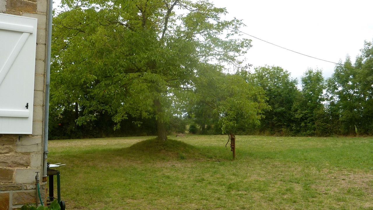 Photo of Outdoor in Ledergues