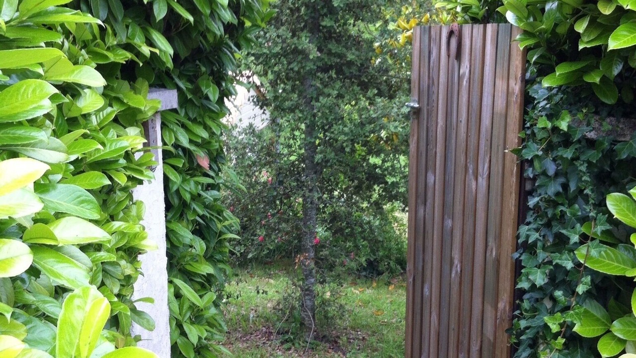 Photo of Outdoor in Saint-Paul-Lizonne