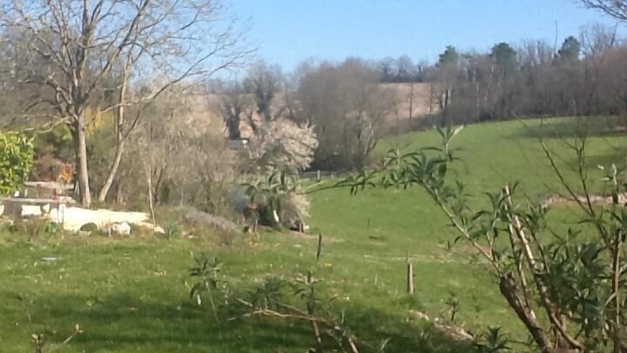 Photo of Outdoor in Saint-Paul-Lizonne