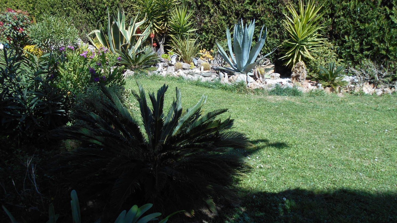 Photo of Outdoor in Torroella de Montgri