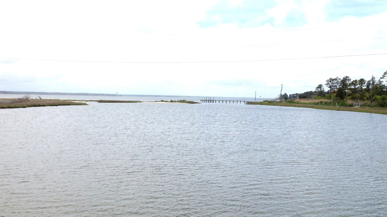 Photo of Others in Gloucester Point