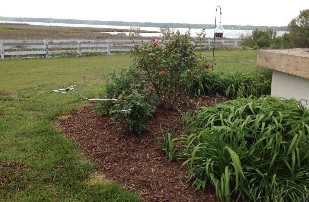 Photo of Others in Gloucester Point