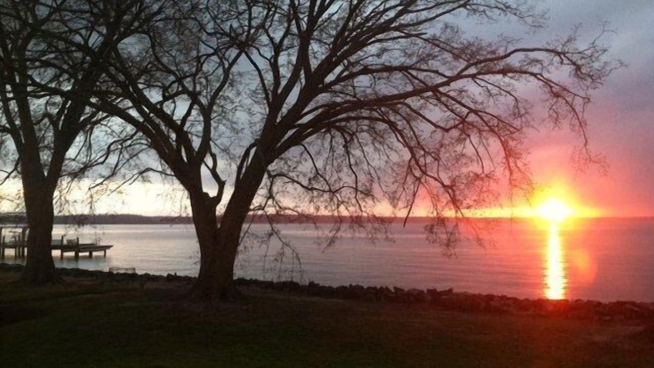 Photo of Others in Gloucester Point