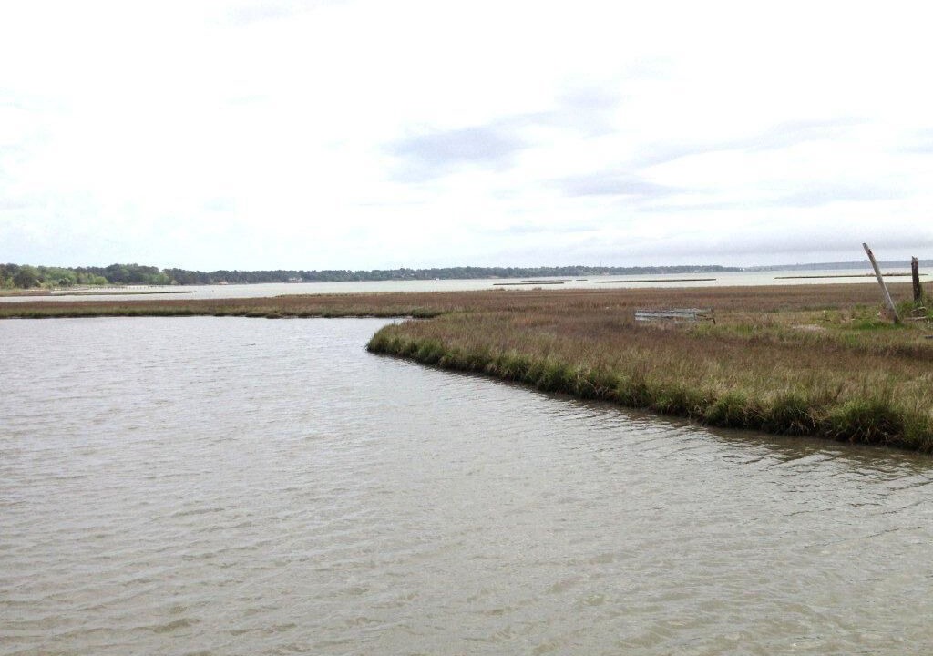 Photo of Others in Gloucester Point