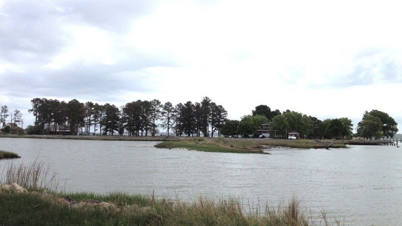 Photo of Others in Gloucester Point