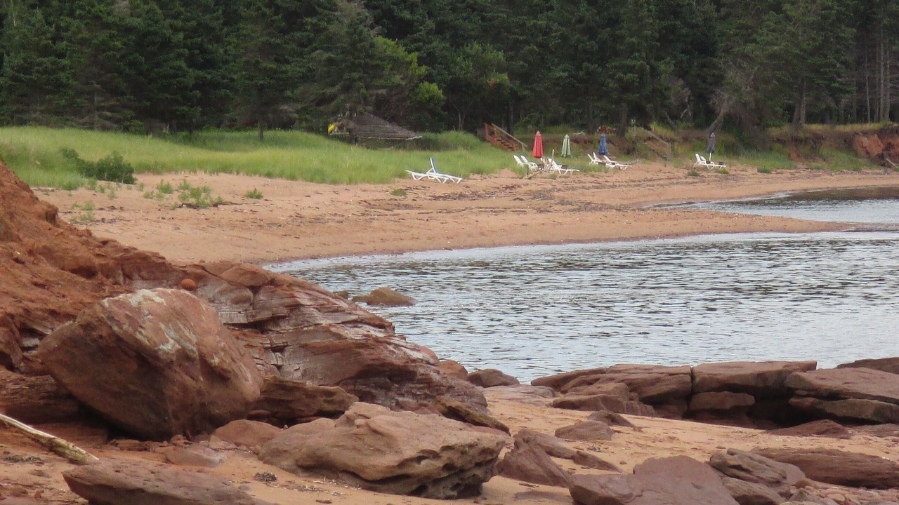 Photo of Others in Wood Islands