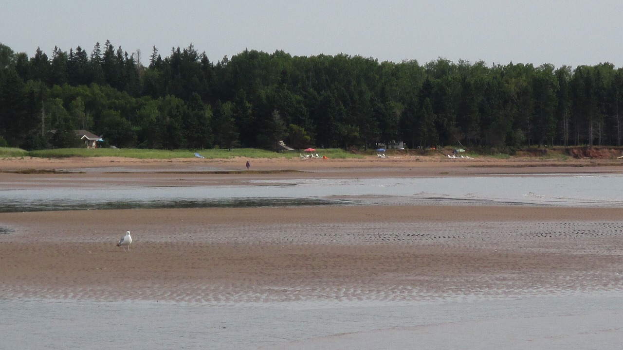 Photo of Others in Wood Islands