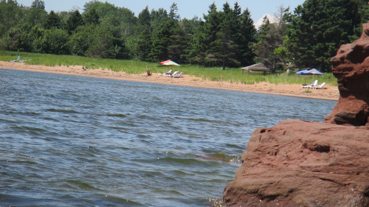 Photo of Others in Wood Islands