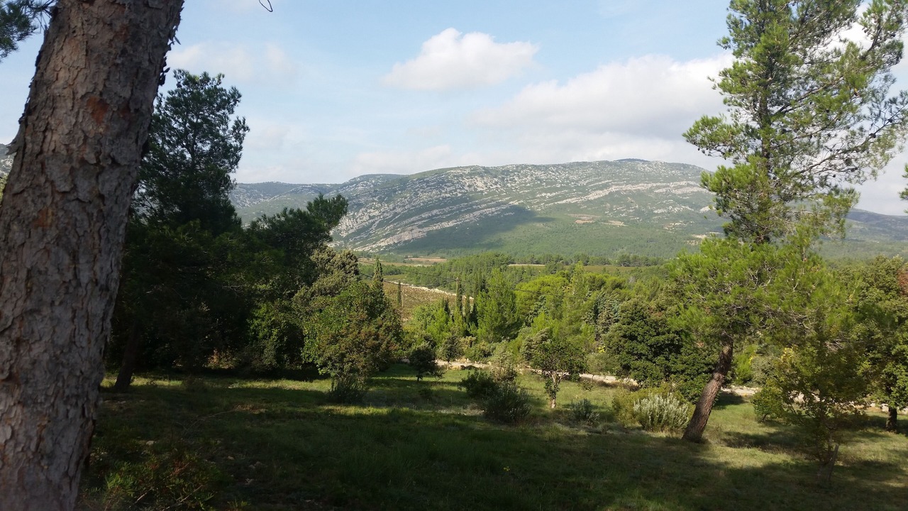 Photo of Outdoor in Ribaute