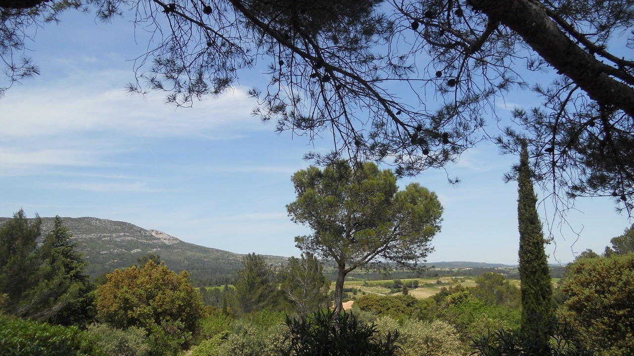 Photo of Outdoor in Ribaute