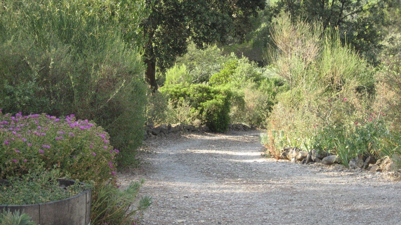 Photo of Outdoor in Ribaute