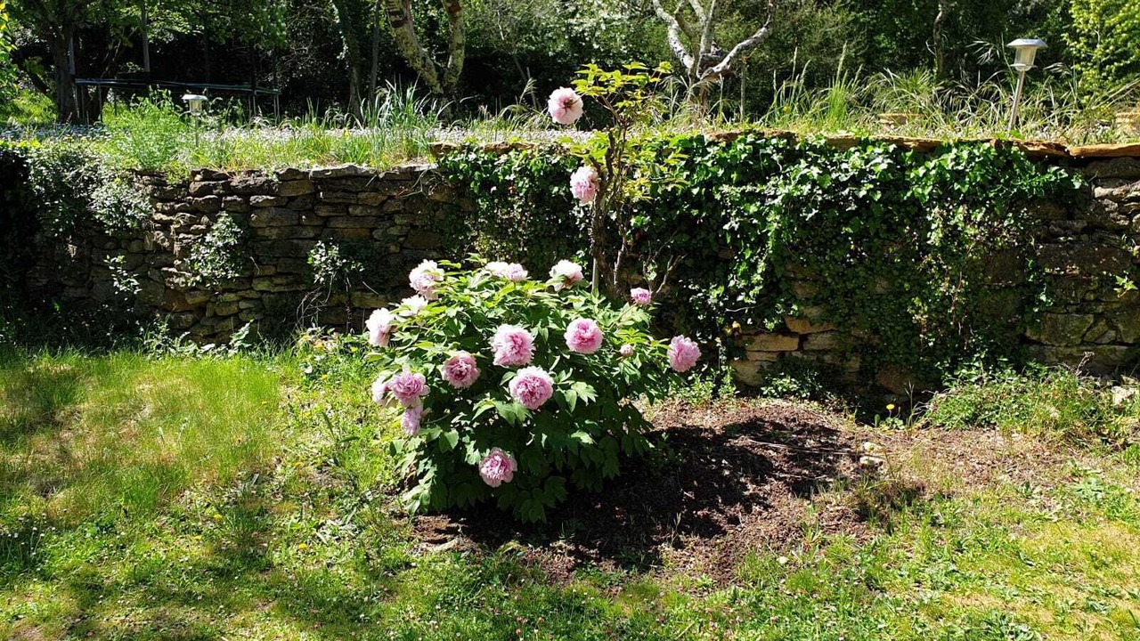 Photo of Outdoor in Saint-Marcel-de-Careiret