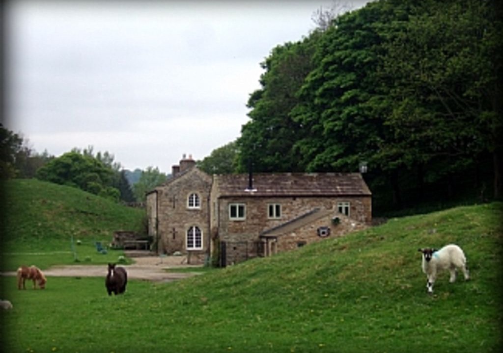 Photo of Others in Leyburn