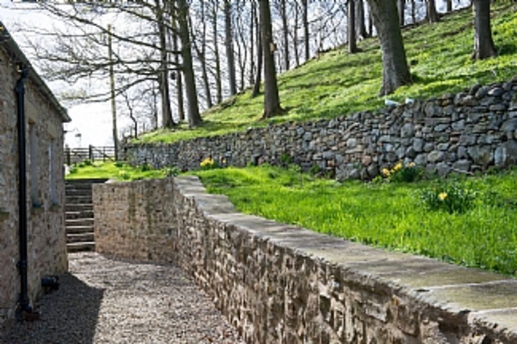 Photo of Others in Leyburn