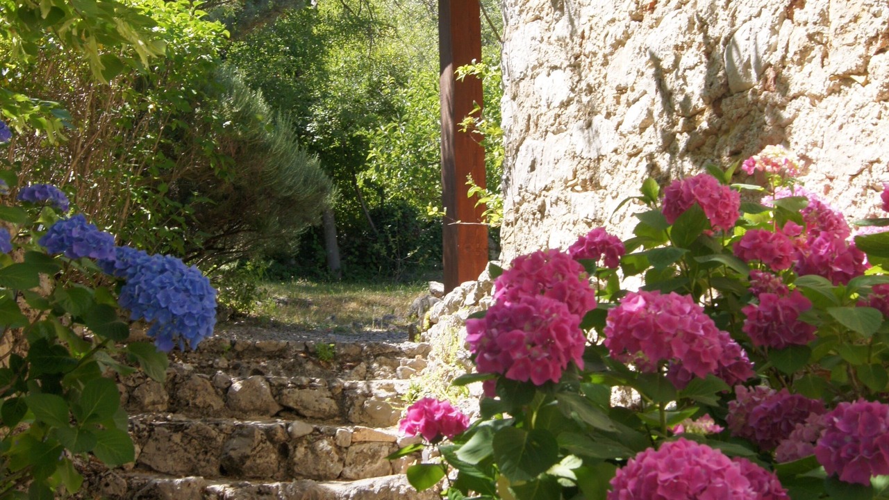 Photo of Outdoor in Condorcet