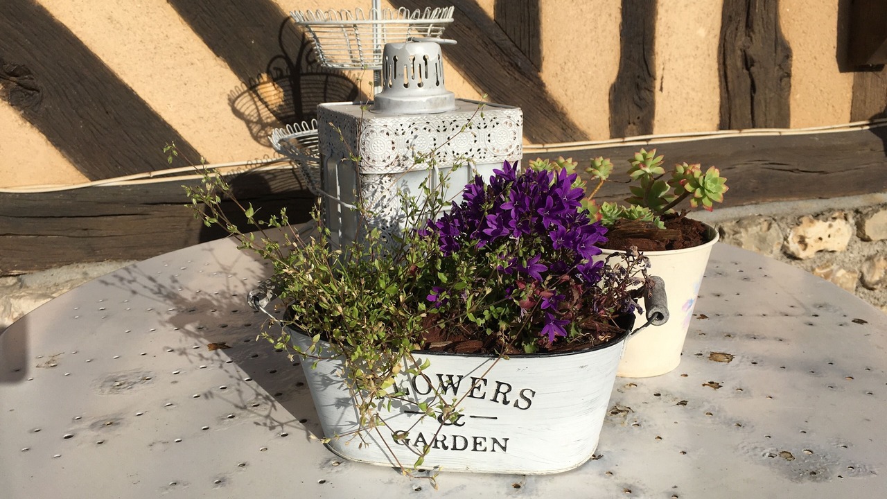 Photo of Others in Berville-sur-Mer