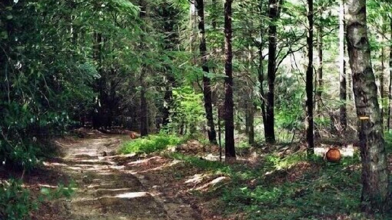Photo of Outdoor in Durenque