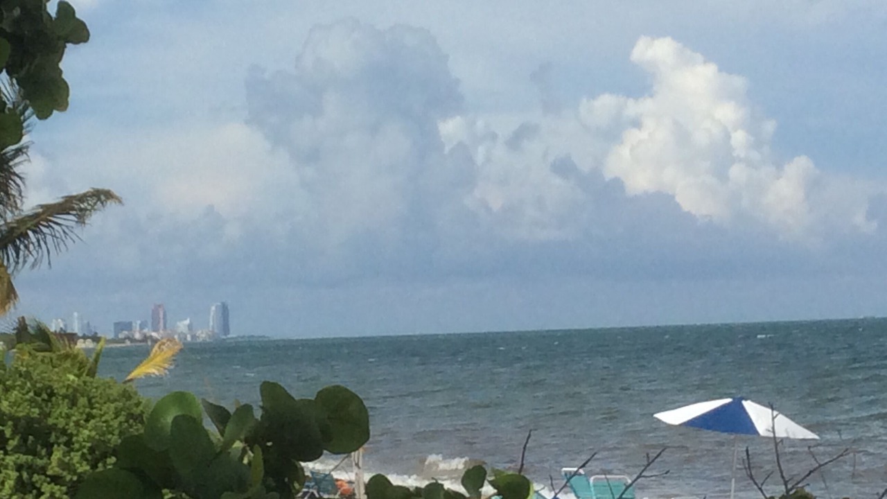 Photo of Others in Key Biscayne