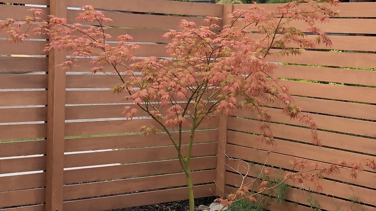 Photo of Outdoor in Gatewood