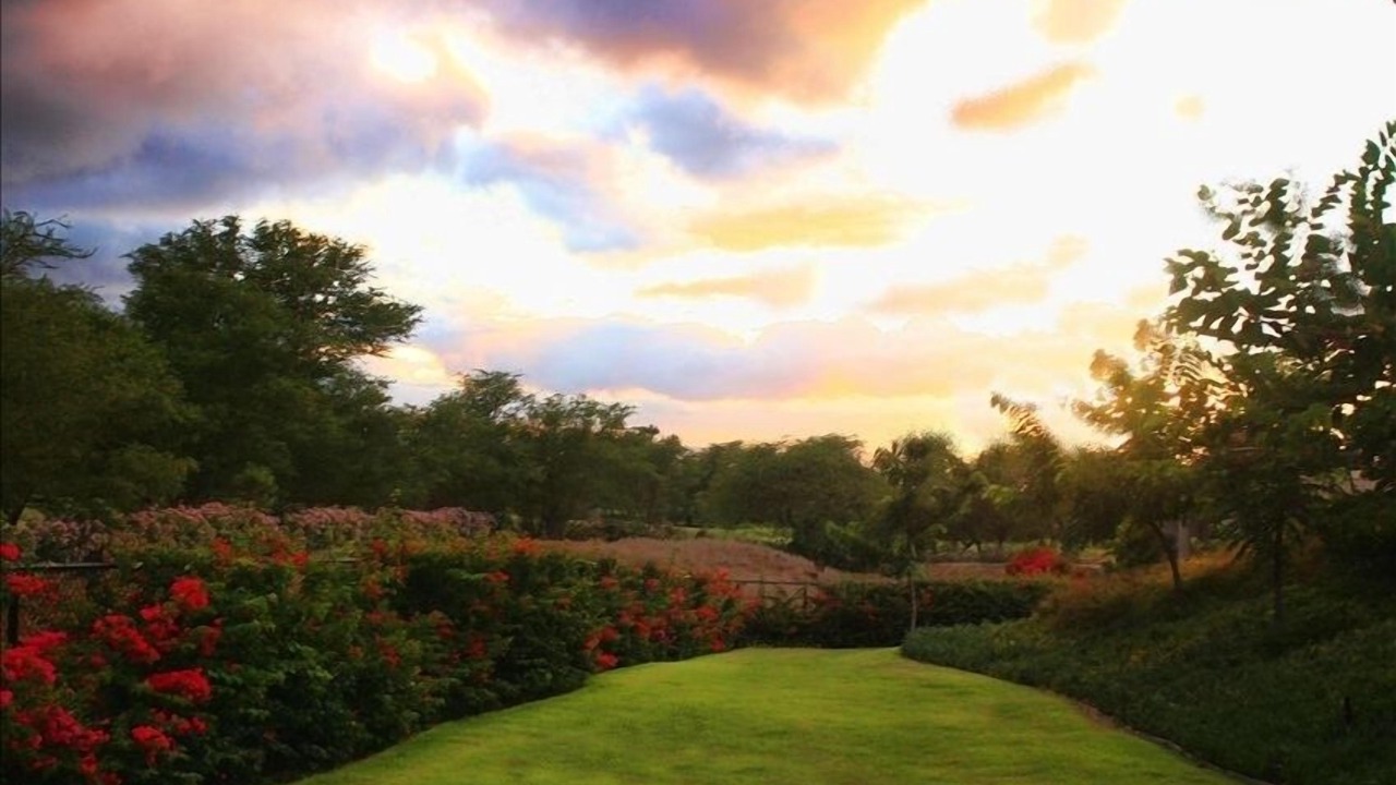 Photo of Others in Wailea