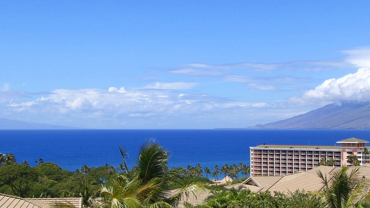 Photo of Others in Wailea