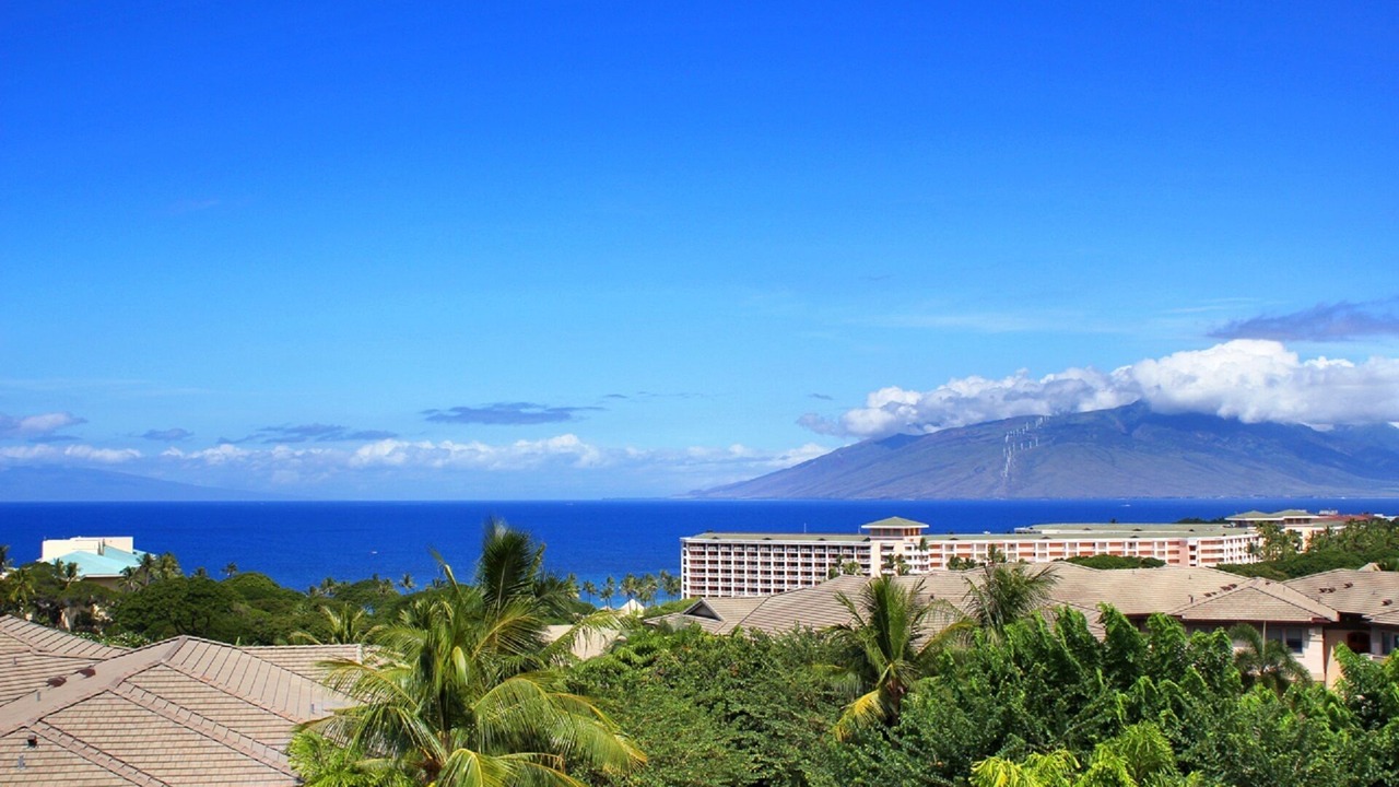 Photo of Others in Wailea