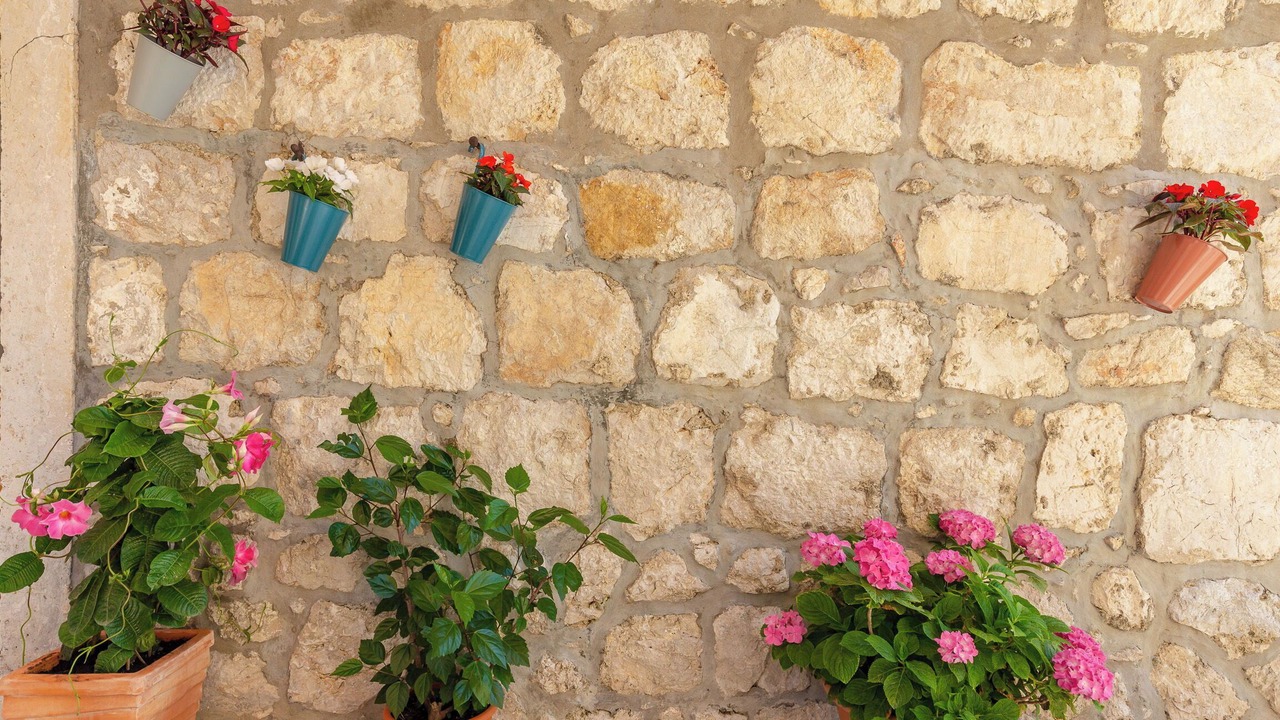 Photo of Outdoor in Trsteno