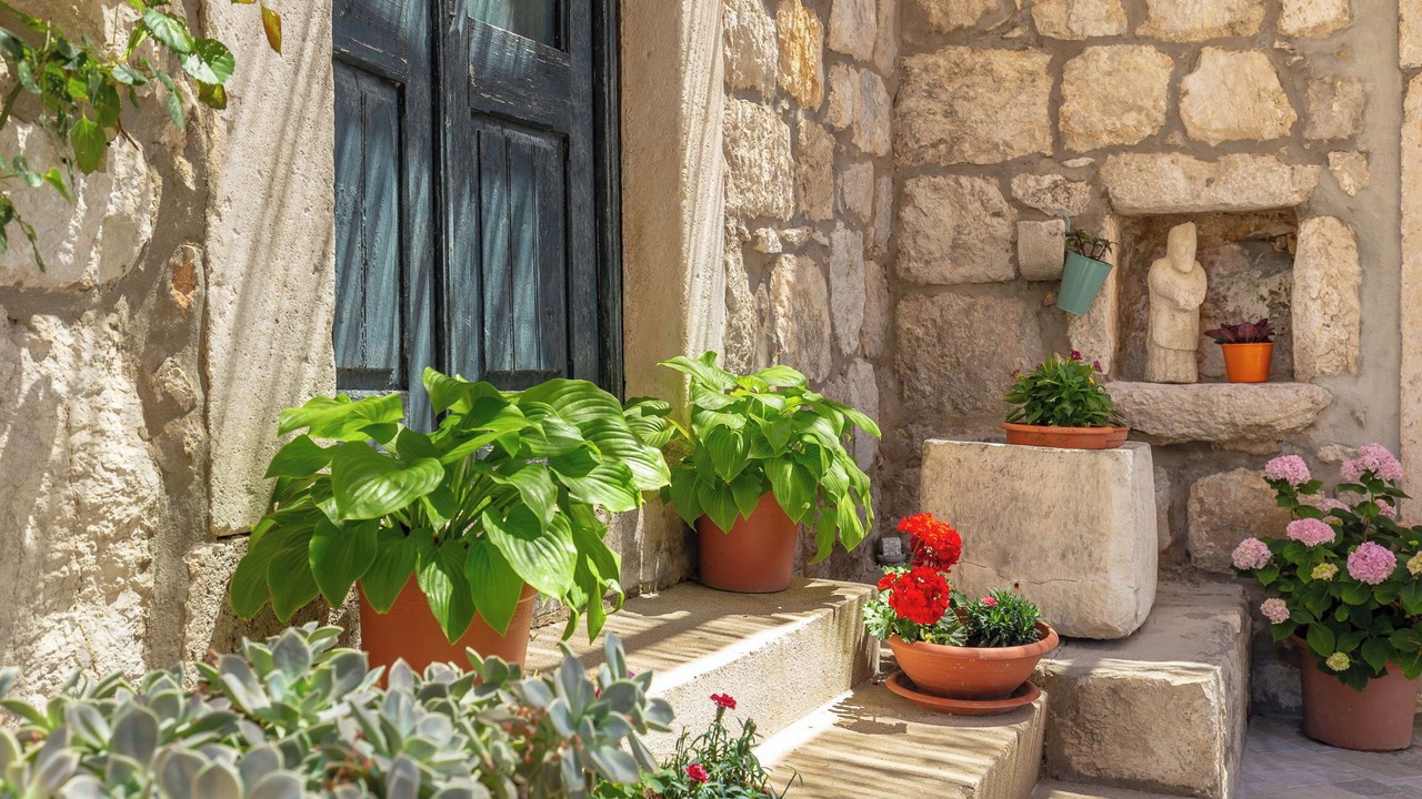 Photo of Outdoor in Trsteno