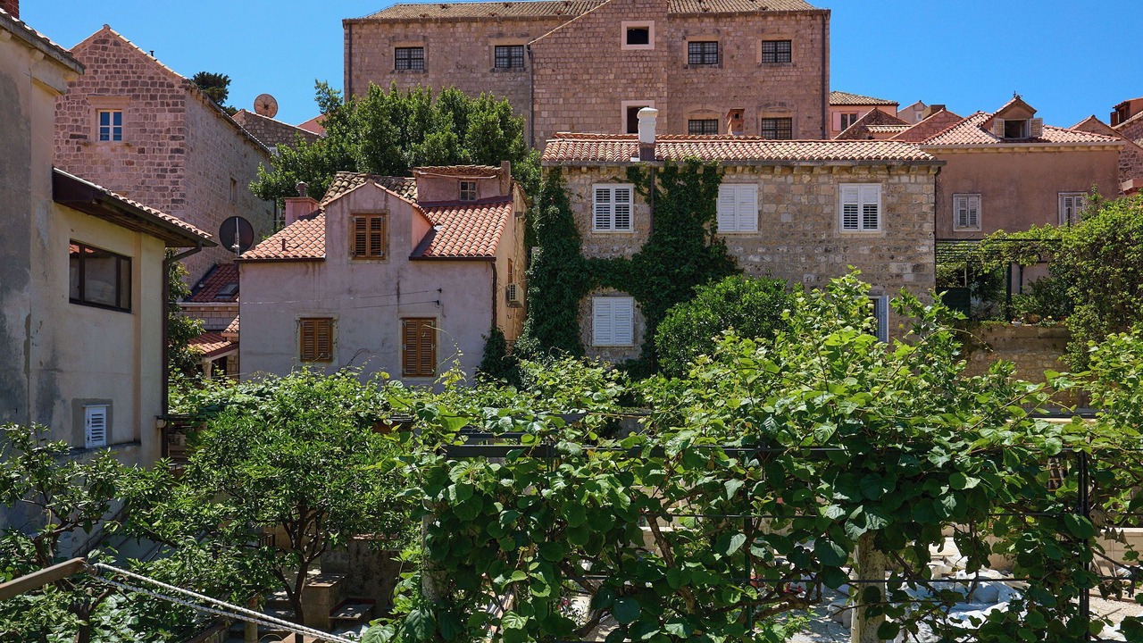 Photo of Others in Dubrovnik Old Town