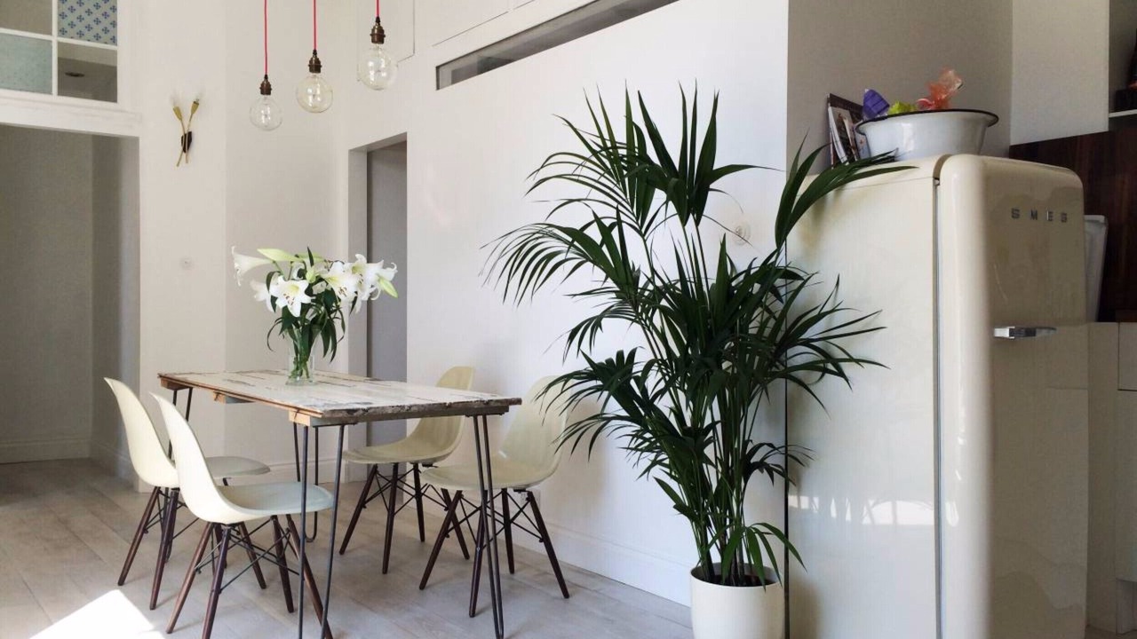 Photo of Others in North Kensington