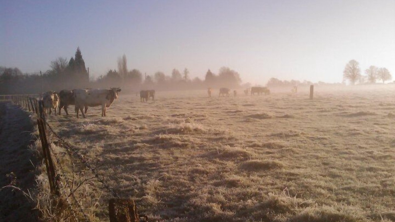 Photo of Others in Le Faulq