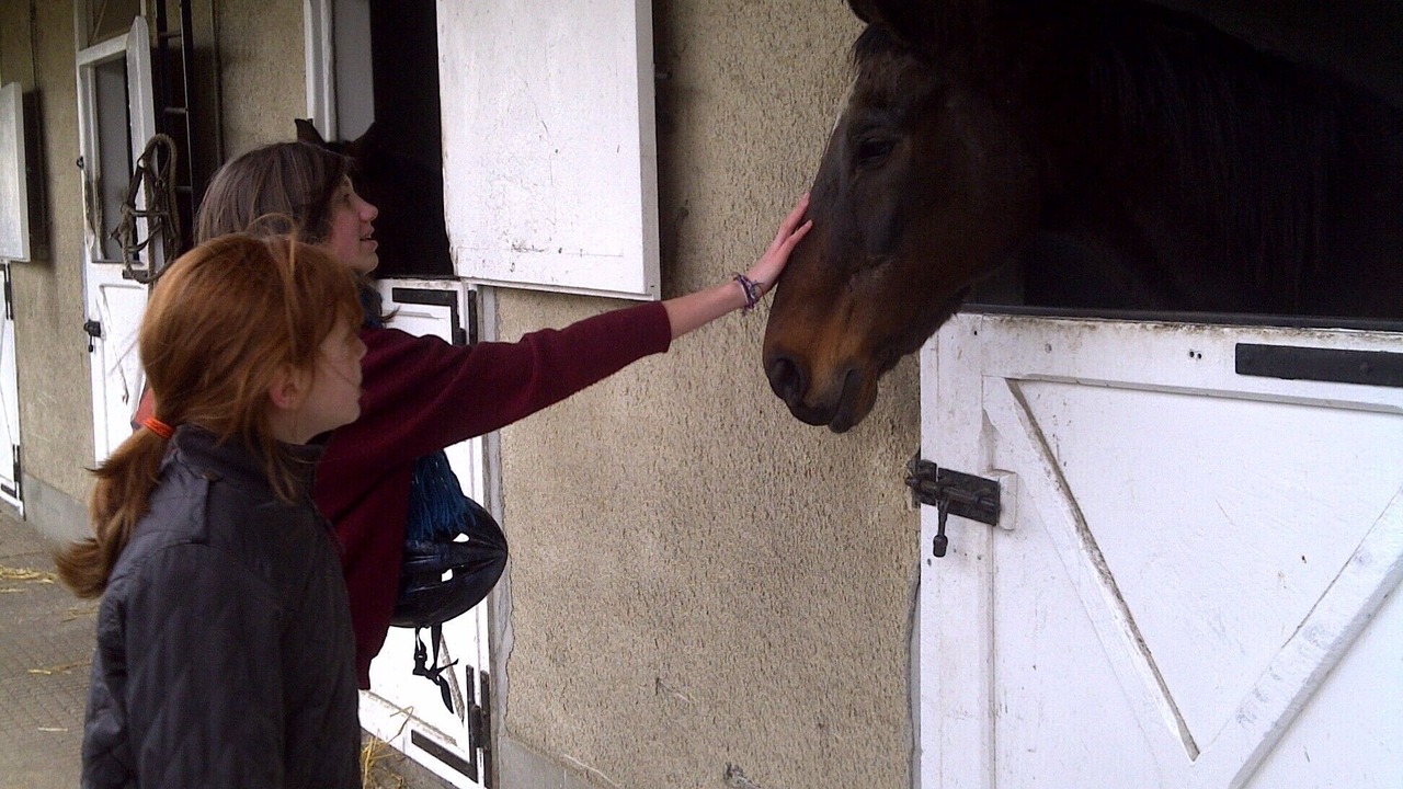 Photo of Others in Le Faulq