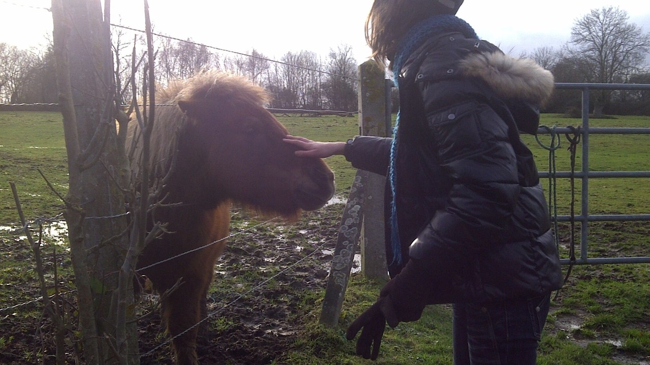 Photo of Outdoor in Le Faulq